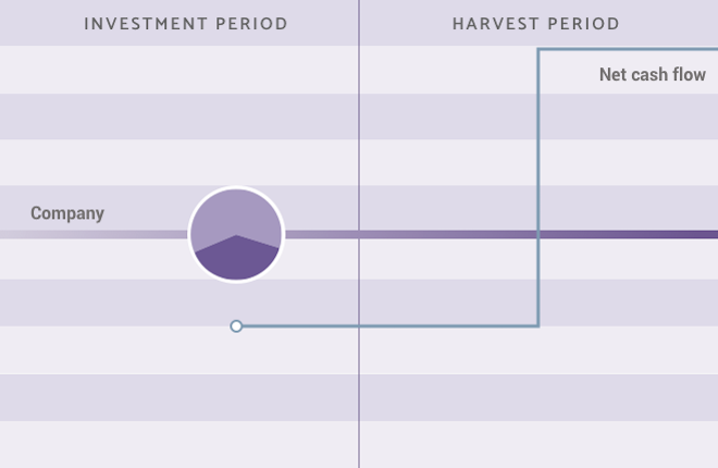 Co-investments Strategy infographic